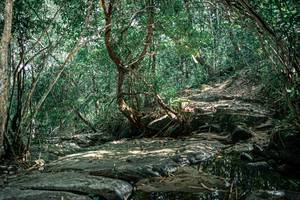 BIB: 
                            <button type="button" onclick="openModal(25861525)" class="btn btn-primary btn-sm float-right btn-popup" data-toggle="modal" data-target=".modal-high-quality">
                        <i class="fas fa-shopping-cart"></i> Add to Cart
                    </button>
                                            <button type="button" onclick="isThisMe(25861525, true)" class="btn btn-success btn-sm float-right btn-popup btn-isme hidden" data-toggle="tooltip" data-placement="bottom" title="นี่คือรูปของคุณใช่ไหม คลิกที่นี่เพื่อเอาเข้าอัลบั้ม">
                        <i class="fas fa-plus"></i> Add to album
                    </button>
                    <button type="button" onclick="isThisMe(25861525, false)" class="btn btn-warning btn-sm float-right btn-popup btn-isnotme hidden">
                        <i class="fas fa-ban"></i> Remove from album
                    </button>